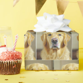 Golden Retriever med sprinkles på näsan Presentpapper