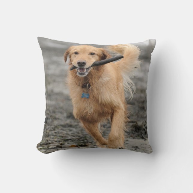 Golden Retriever med stift i munnen Kudde (Framsida)
