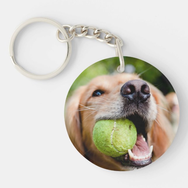 Golden Retriever med tennis Boll (Framsidan)