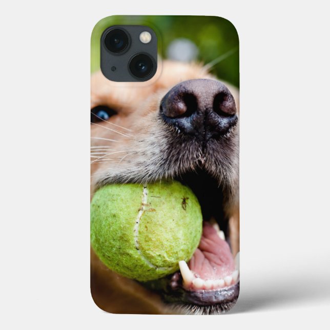 Golden Retriever med tennis Boll (Baksida)