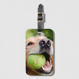 Golden Retriever med tennis Boll Bagagebricka