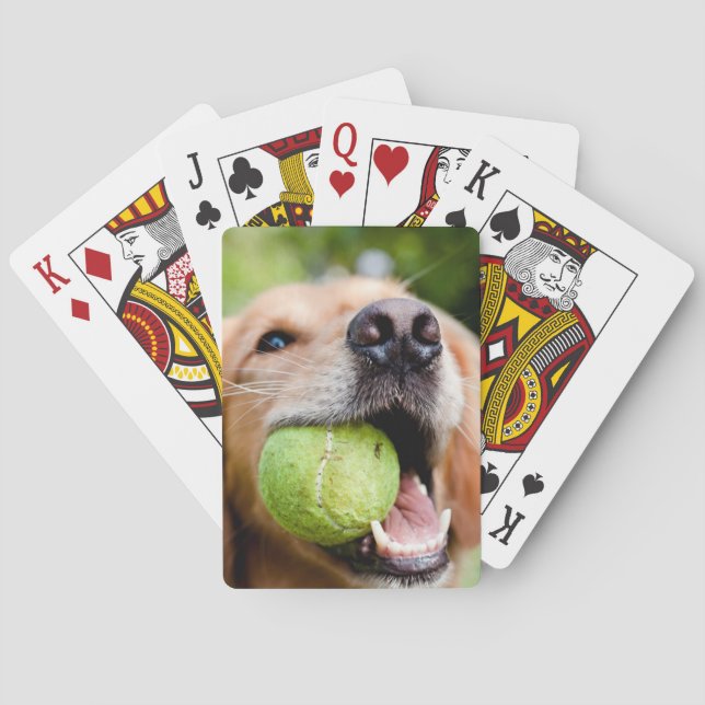 Golden Retriever med tennis Boll Casinokort (Baksidan)