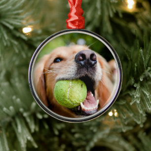 Golden Retriever med tennis Boll Julgransprydnad Metall
