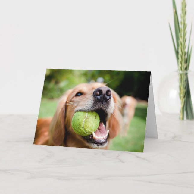 Golden Retriever med tennis Boll Kort (Framsida)