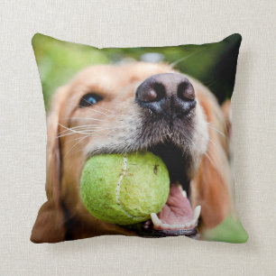 Golden Retriever med tennis Boll Kudde