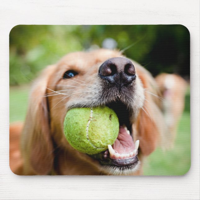 Golden Retriever med tennis Boll Musmatta (Framsidan)