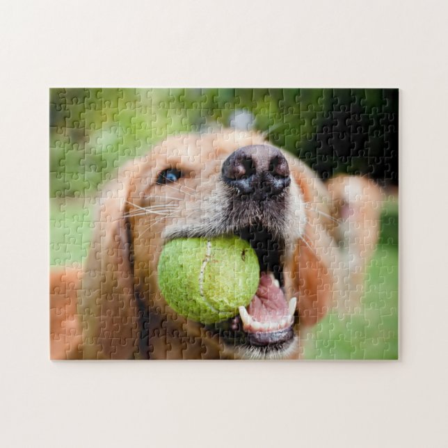 Golden Retriever med tennis Boll Pussel (Horisontell)