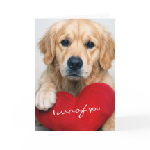 Golden Retriever med valentinahjärtekudde