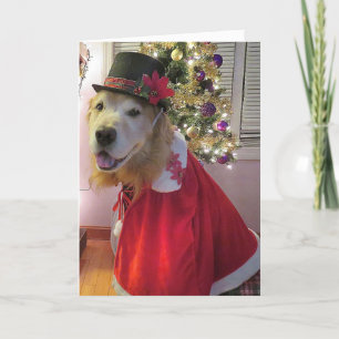 Golden Retriever Merry Bright jul Caroline Helgkort