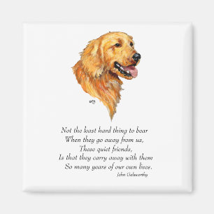 Golden Retriever Minne Magnet