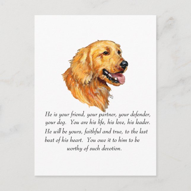 Golden Retriever Minne Vykort (Framsida)