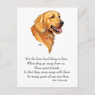 Golden Retriever Minne Vykort