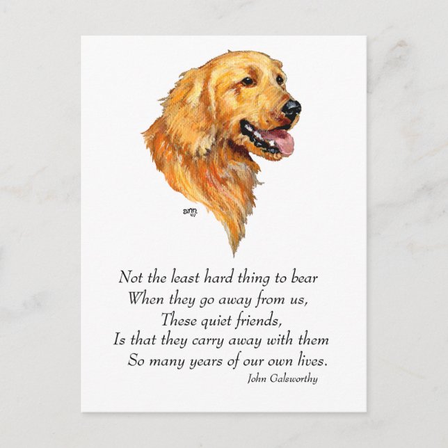 Golden Retriever Minne Vykort (Framsida)