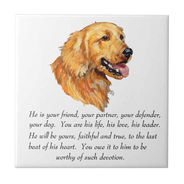 Golden Retriever Minnessak Kakelplatta (Framsidan)