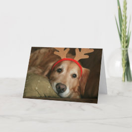 Golden Retriever Miss You-jul Helgkort