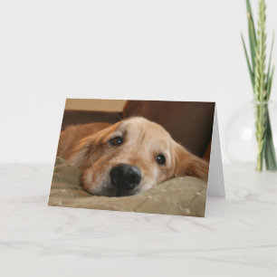 Golden Retriever missar ditt hälsningskort Kort