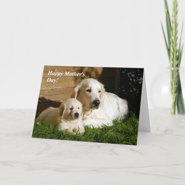 Golden Retriever Mors dag Mamma och marionettkort Kort (Framsida)