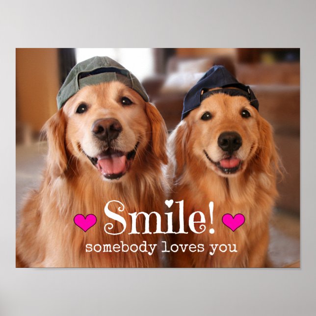 Golden Retriever Någon Kärlek You Poster (Framsidan)