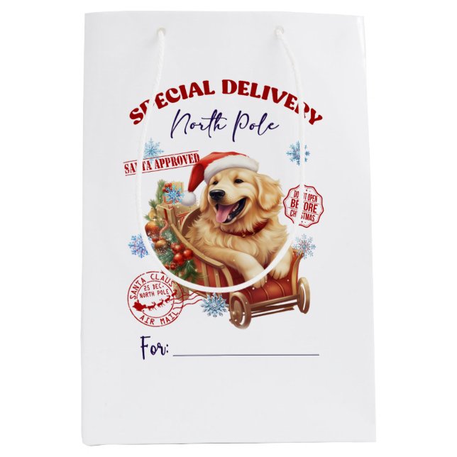 Golden Retriever North Pole Delivery (Framsidan)