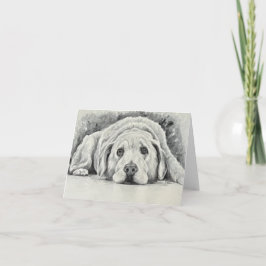 Golden Retriever Note-kort Anteckningskort