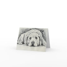 Golden Retriever Note-kort