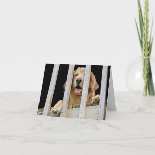 Golden Retriever notecard Kort
