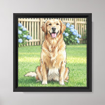 Golden Retriever och blå hortensior
