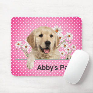 Golden Retriever och Daisy Musmatta
