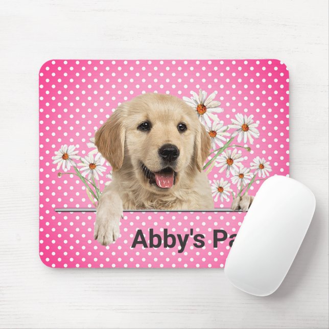 Golden Retriever och Daisy Musmatta (Med mus)