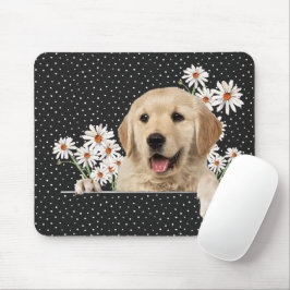 Golden Retriever och Daisy Musmatta