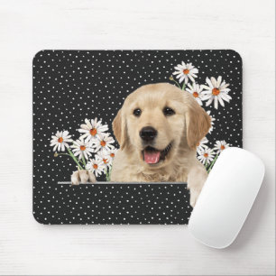 Golden Retriever och Daisy Musmatta