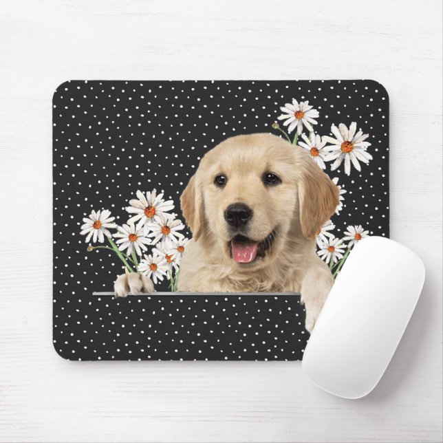 Golden Retriever och Daisy Musmatta (Med mus)