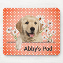 Golden Retriever och Daisy Musmatta