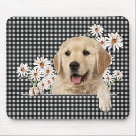 Golden Retriever och Daisy Musmatta