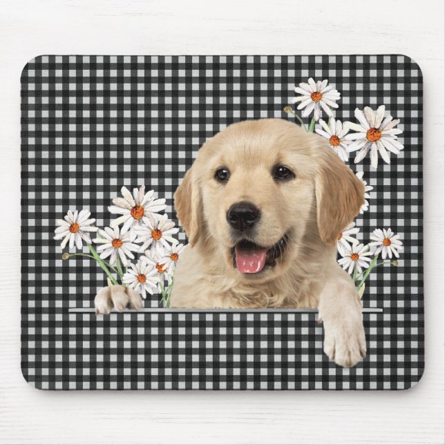 Golden Retriever och Daisy Musmatta (Framsidan)