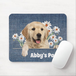 Golden Retriever och Daisy Musmatta