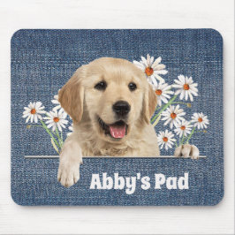 Golden Retriever och Daisy Musmatta