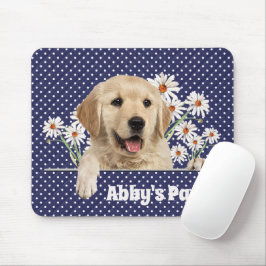 Golden Retriever och Daisy Musmatta