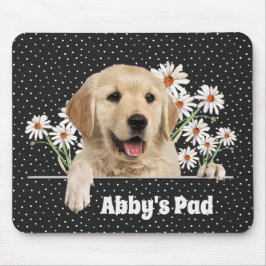 Golden Retriever och Daisy Musmatta