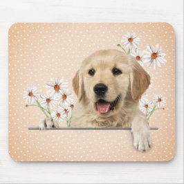 Golden Retriever och Daisy Musmatta