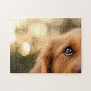 Golden Retriever Öga Closeup Pussel