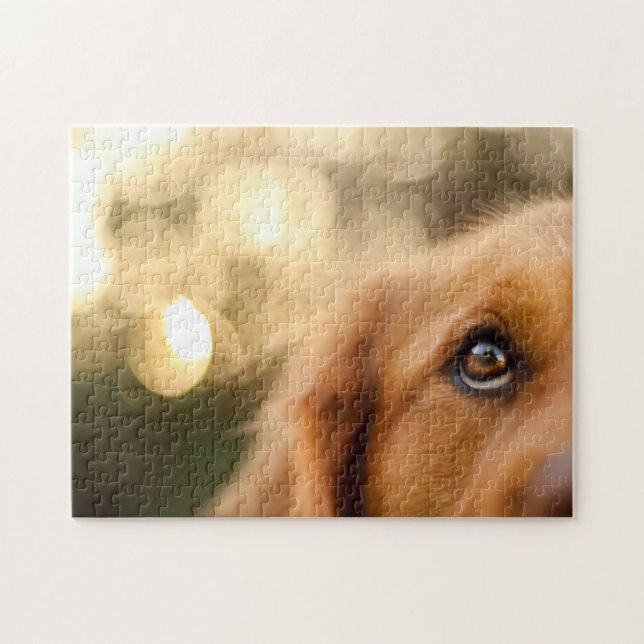 Golden Retriever Öga Closeup Pussel (Horisontell)
