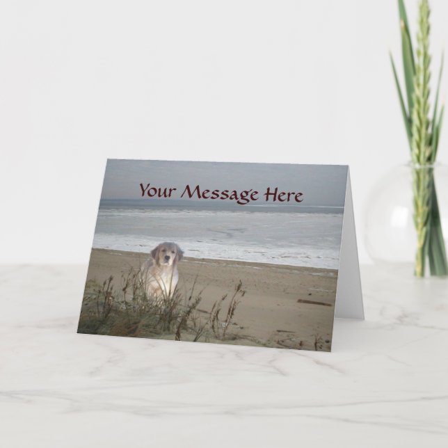 Golden Retriever på bojkottkortet Kort (Framsida)