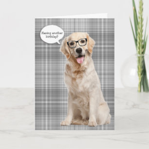 Golden Retriever på den berömda födelsedagen humor Kort