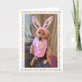 Golden Retriever Påsk Card Tack Kort