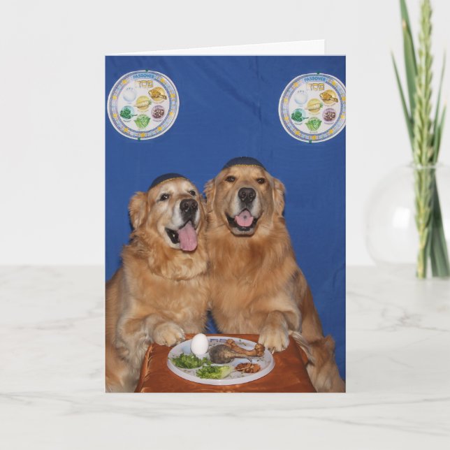 Golden Retriever Passover Seder Plate Kort (Framsida)