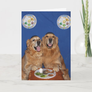 Golden Retriever Passover Seder Plate Kort