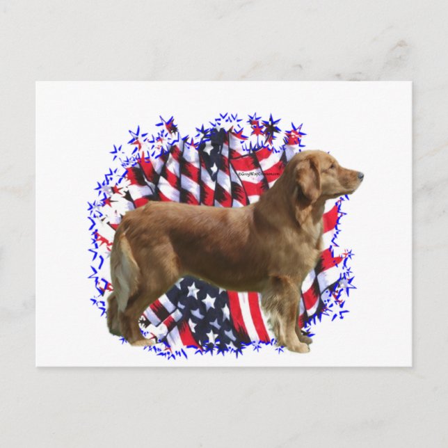 Golden Retriever Patriot Vykort (Framsida)