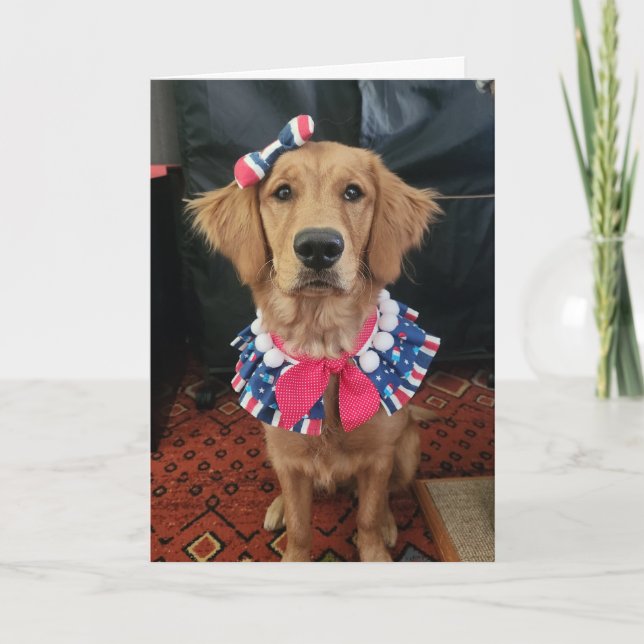 Golden Retriever patriotic, 4:e juli hälsning Tack Kort (Framsida)