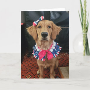 Golden Retriever patriotic, 4:e juli hälsning Tack Kort